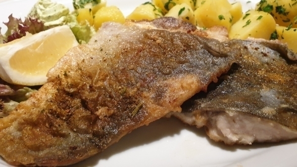 Schnecken5